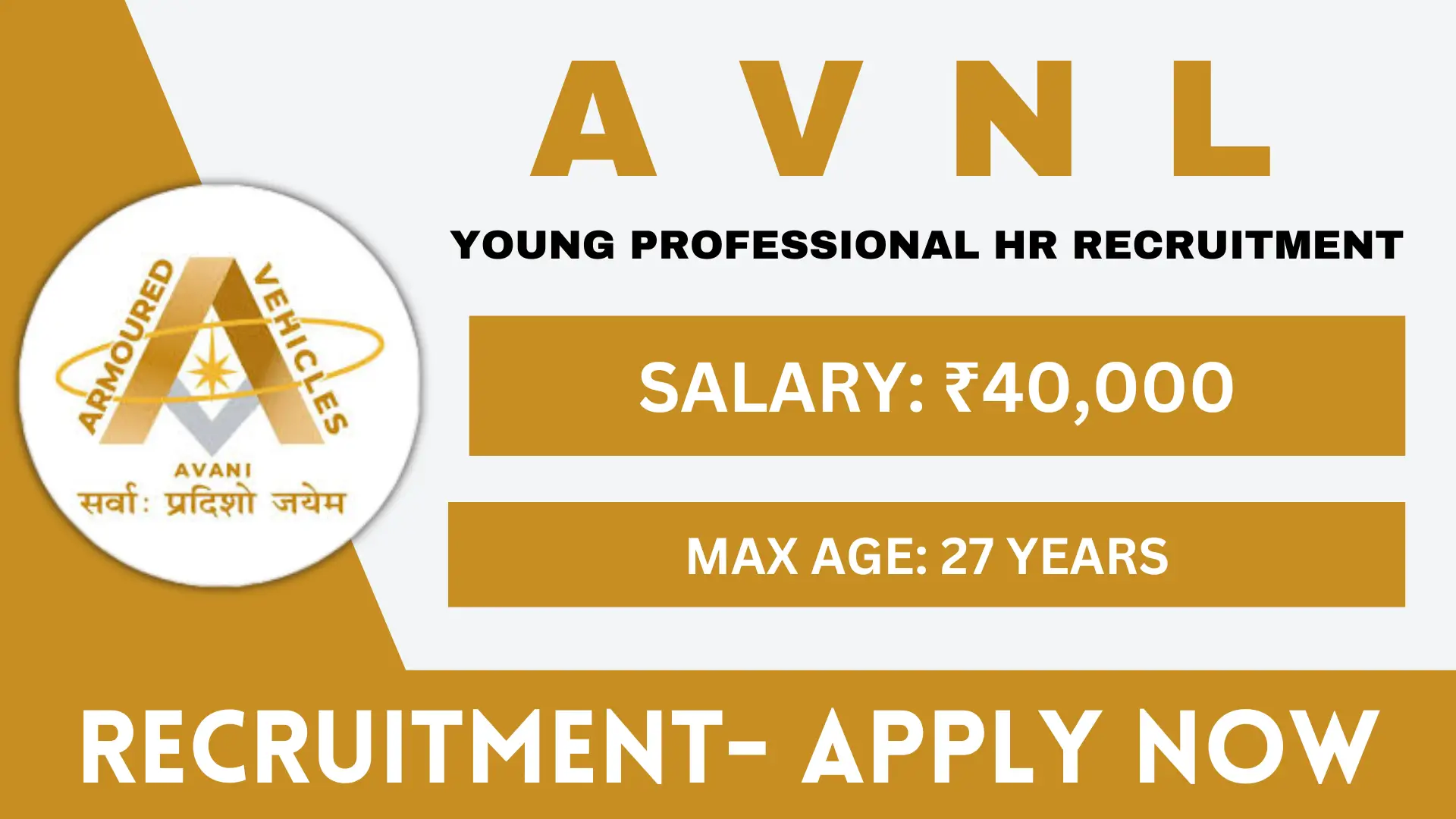 AVNL Young Professional HR Recruitment