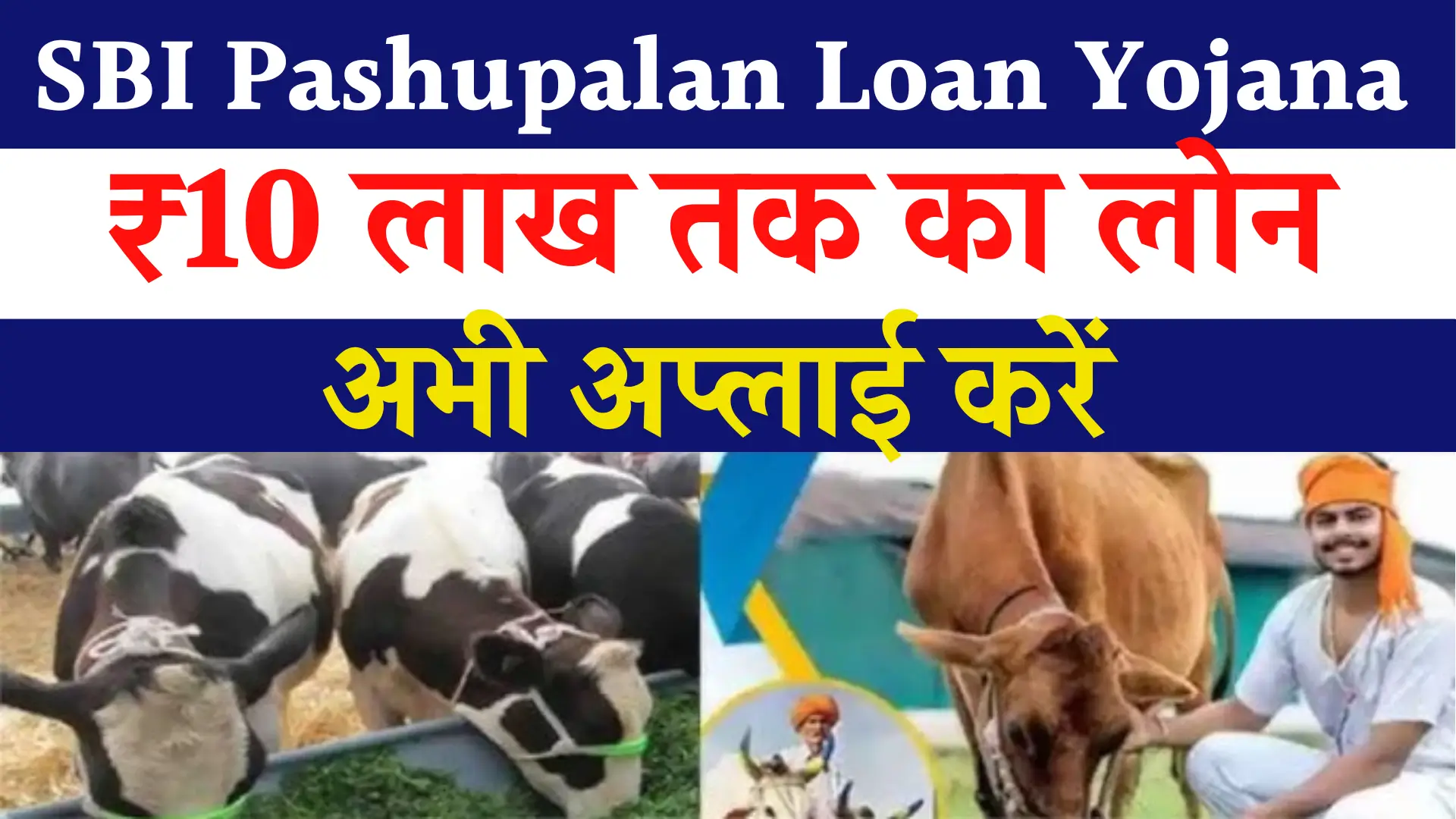 SBI Pashupalan Loan Yojana Apply Now