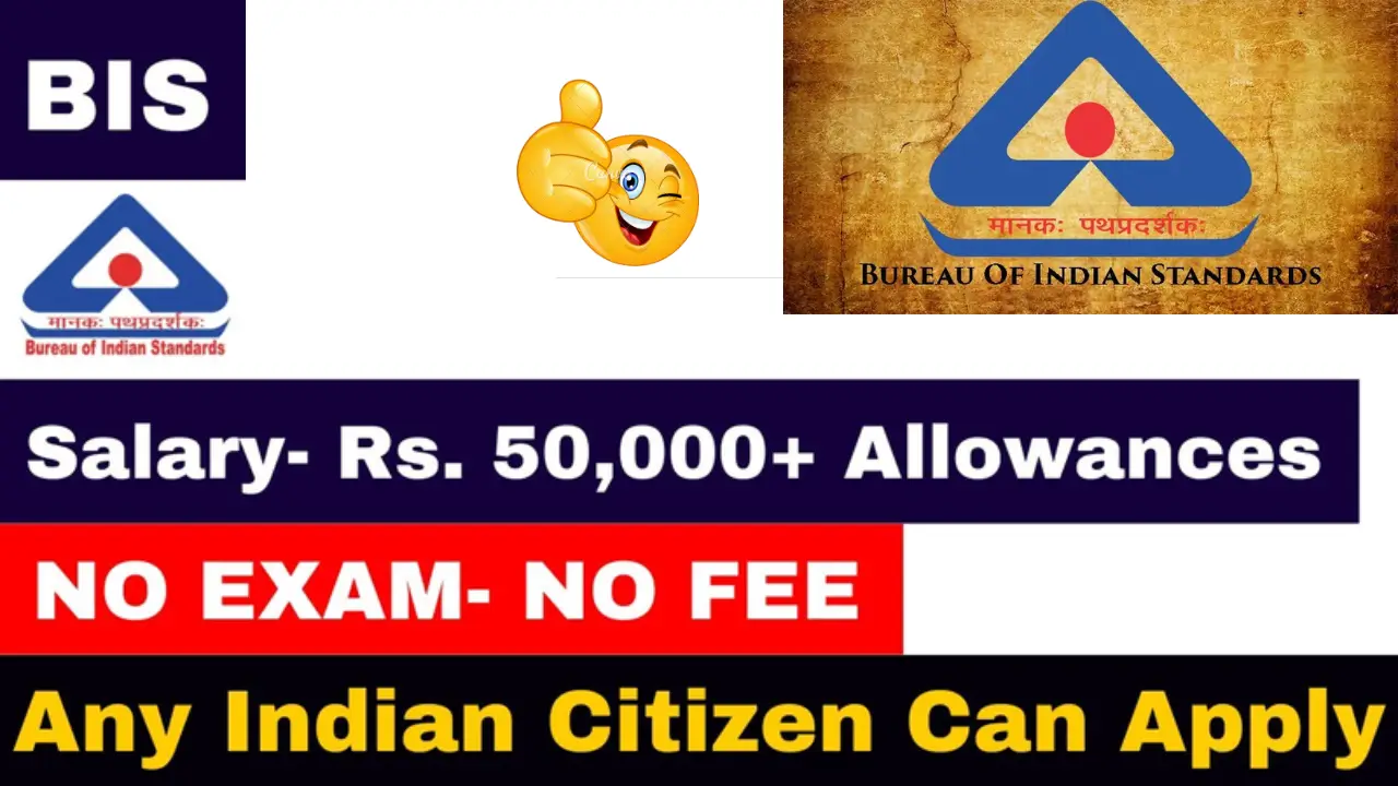 BIS Consultant Salary 2025 – Full Monthly Pay Structure, Extra Allowances & Job Profile Explained